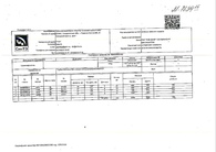 Сертификат 1